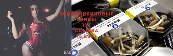 первитин Беломорск