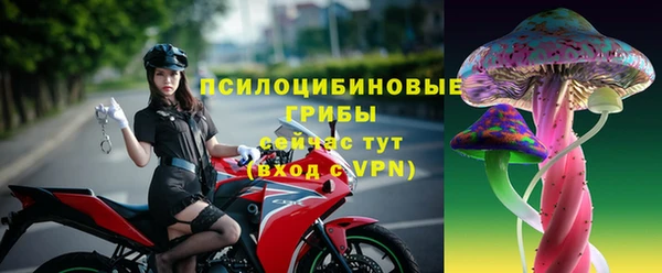 мяу мяу мука Белоозёрский